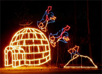 Enjoy looking at thousands of colored lights & over 50 animated &stationary light displays.